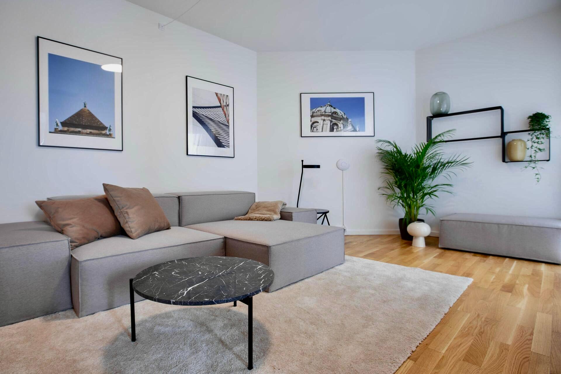 Sofa area of a Copenhagen Coliving apartment
